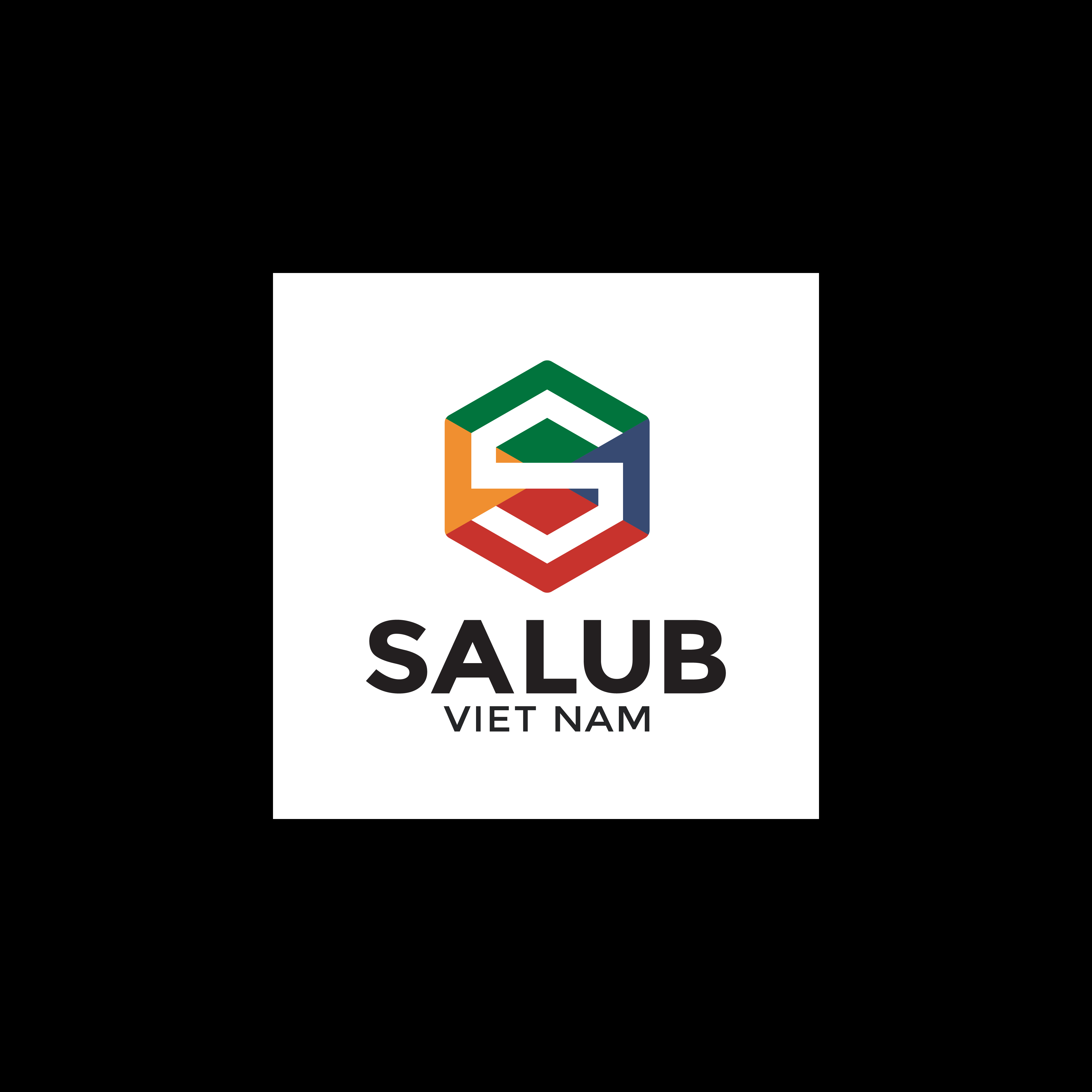 SALUB VIET NAM COMPANY LIMITED