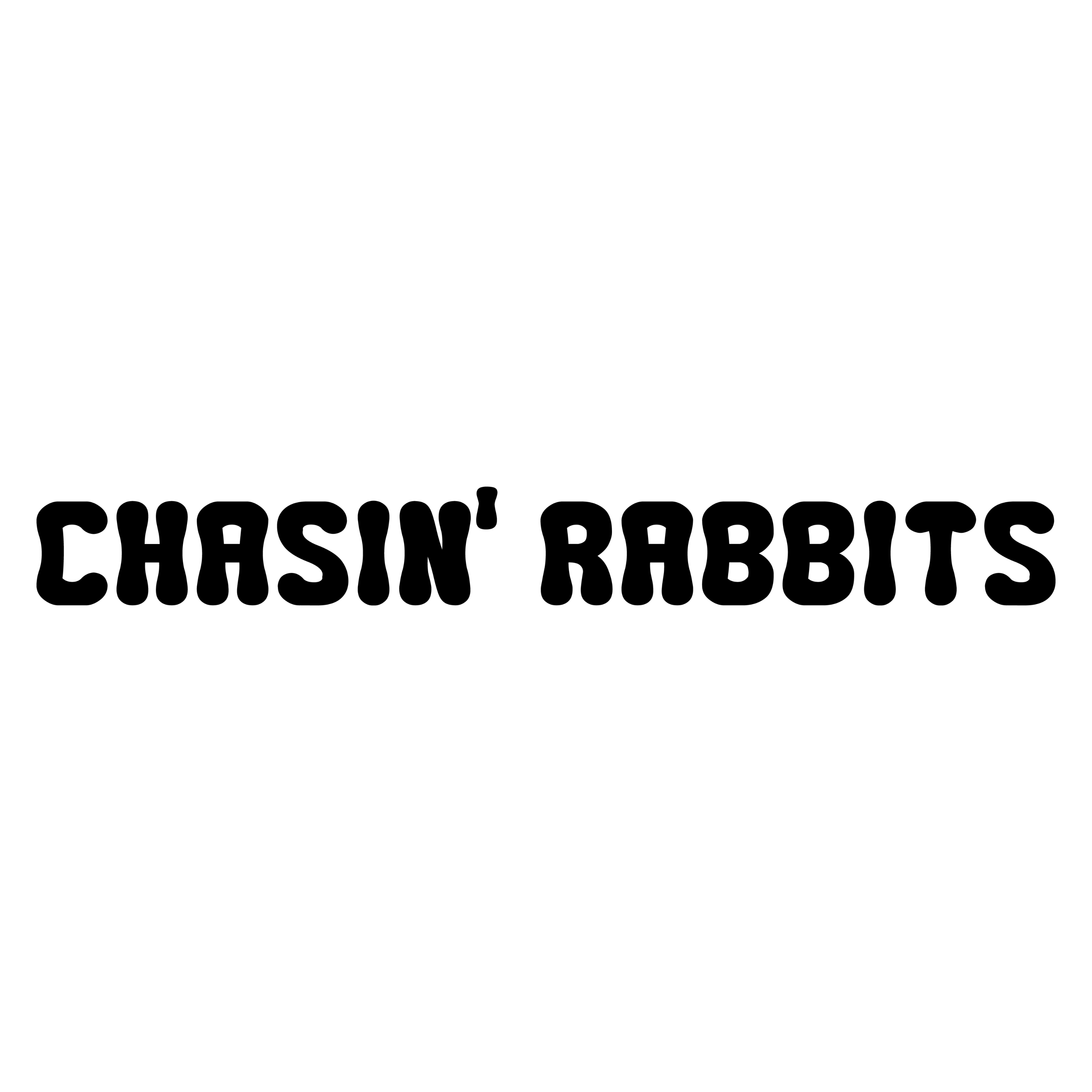 CHASIN' RABBITS